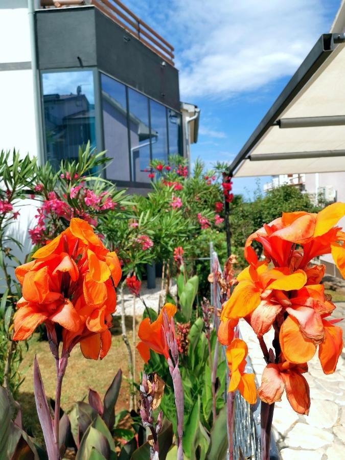 Apartmani Andrea Pula Eksteriør billede